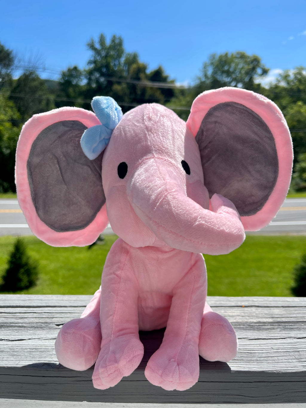 Personalized Baby Elephant message