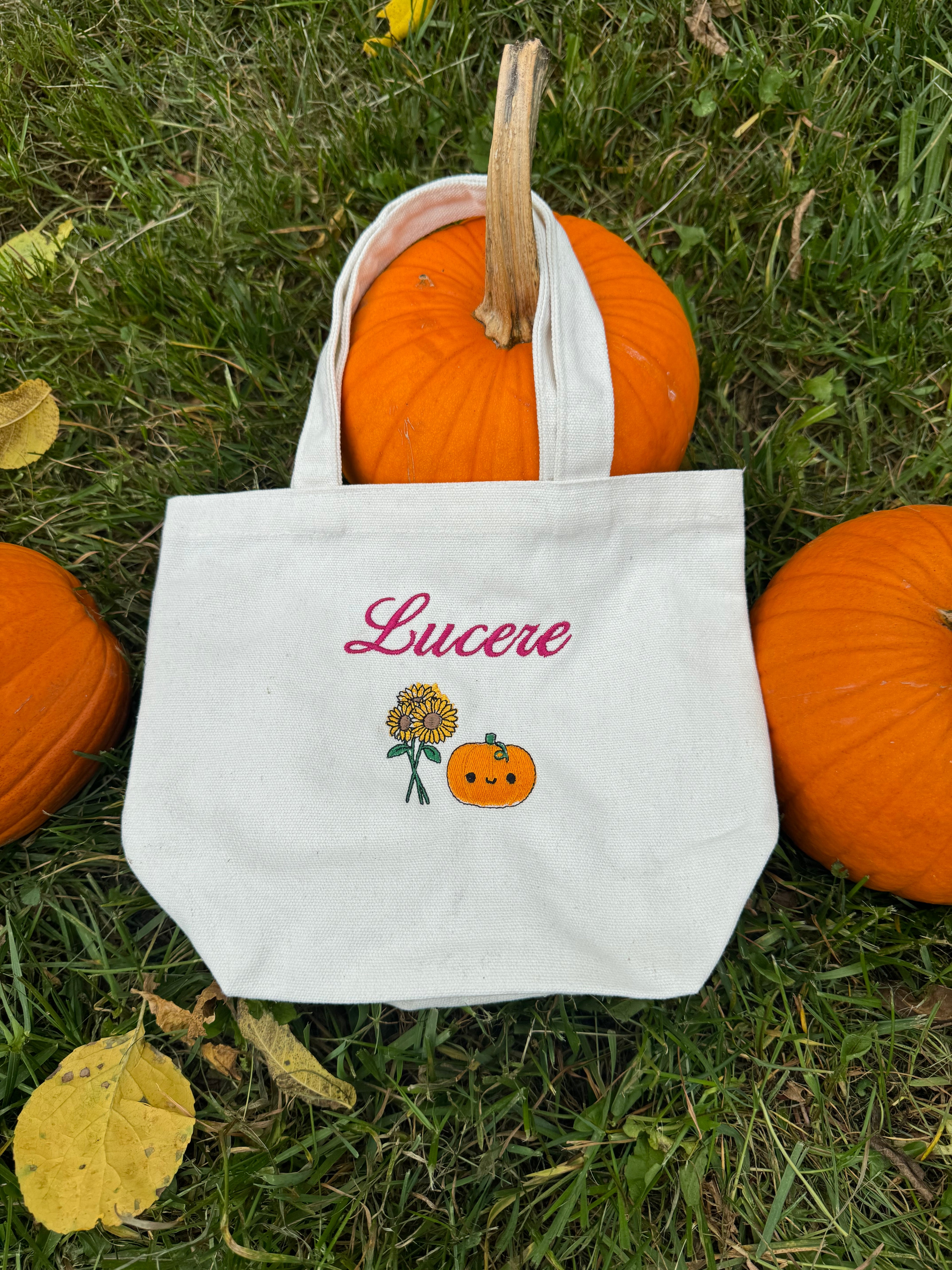 A1- Canvas Tote Bag Mini