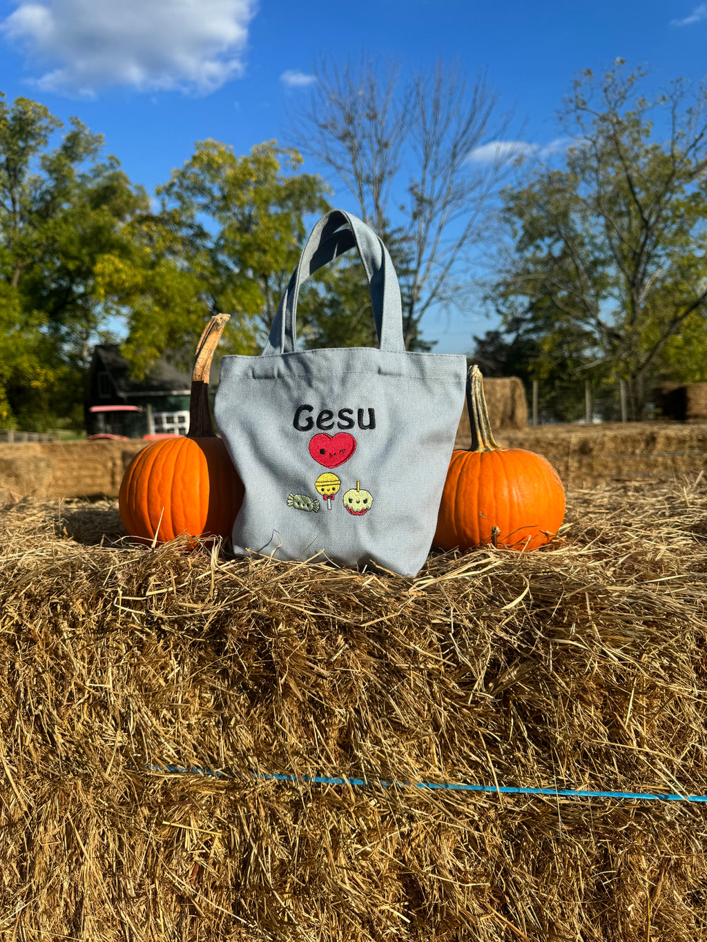 A1- Canvas Tote Bag Mini