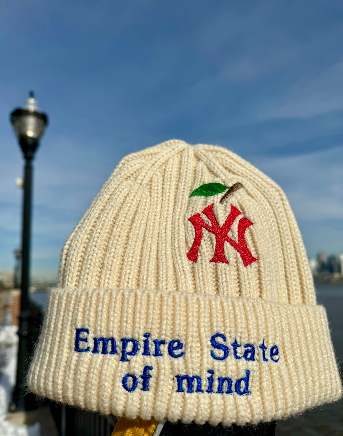 Apple N.Y. State of mind                       Empire State of mind